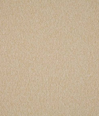 Scion Plains Ten 131823