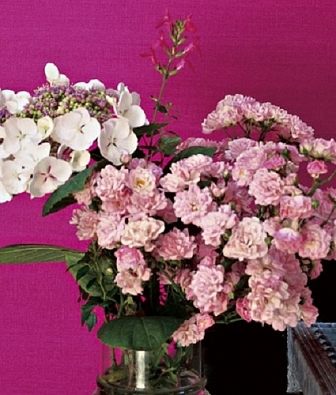 ���� Elitis Soie VP 620 55