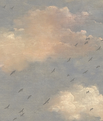 ���� Mayflower  Transition 30802