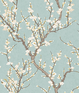  Aura Spring 1903-1