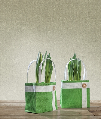  Milassa Gem Gem6 012