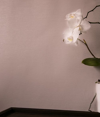 ���� Hohenberger Epic 63540