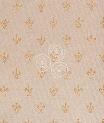 ���� ProSpero Olimpia OL1206