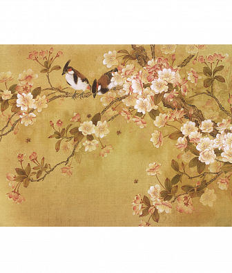 ���� Brewster New Creator 5 CBY068