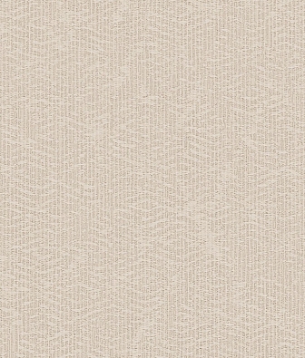 ���� Brewster Evolution 4 BWE04511