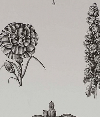 ���� Gaston y Daniela Origen GDW-4854-001