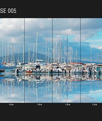  Loymina Illusion DSE 005
