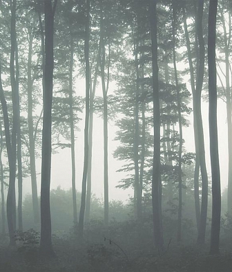  Hygge Wall Collection 1 H10011