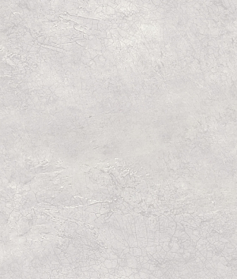  Mayflower  Transition 31109