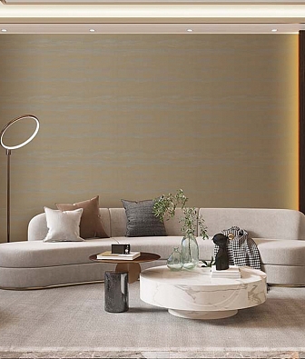 ���� Brewster Evolution 5 BWE05205