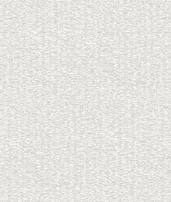 ���� Brewster Evolution 1 BWE01526