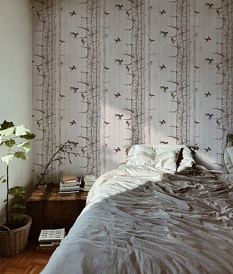 ���� Coordonne Naturae 9500043N