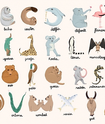 ���� Coordonne Random Kids 9700140