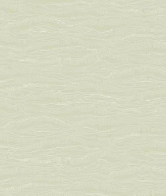 ���� Loymina Equator QTR6 006