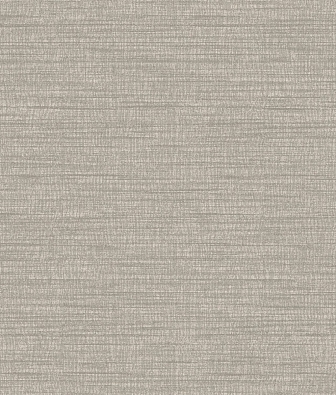 ���� Brewster Evolution 1 BWE01533