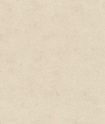  Rasch Natural Colors 408133