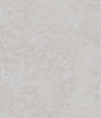 ���� Brewster Evolution 7 BWE071918