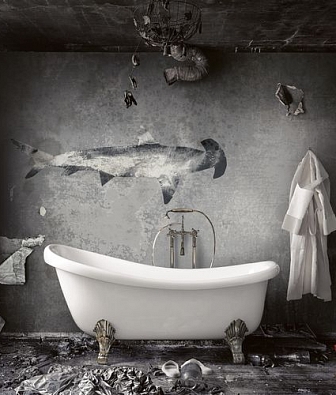 ���� Mayflower  Aerial fj000214