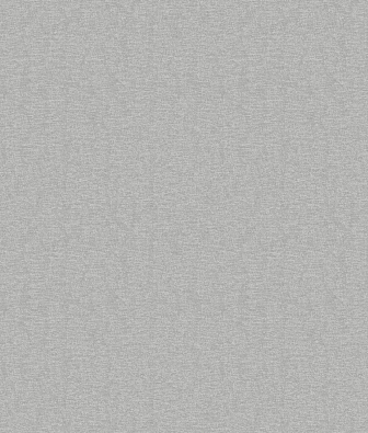 ���� Brewster Evolution 4 BWE04502