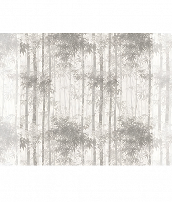 ���� Brewster New Creator 5 CBY030