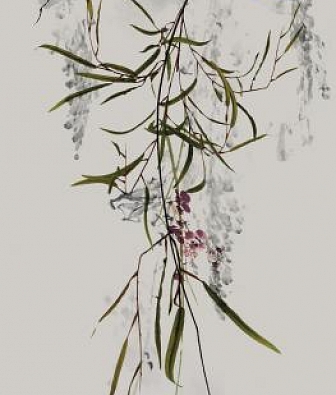 ���� Marburg Crush Motion 63488