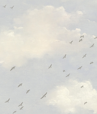 ���� Mayflower  Transition 30801