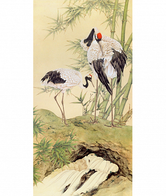 ���� Brewster New Creator 5 CBY014