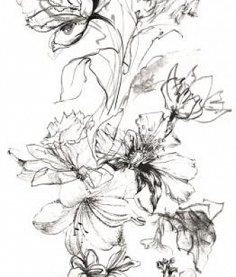 ���� Marburg Crush Motion 63492