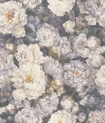 ���� Rasch Riva 972436