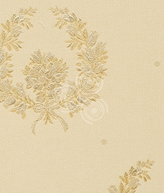 ���� ProSpero Jolie 8646-403