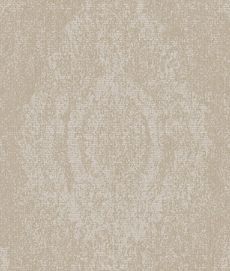 ���� Brewster Evolution 2 BWE02203