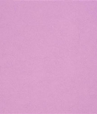 ���� Designers Guild Surabaya P502-40