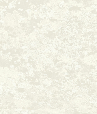 ���� Mayflower  Transition 30310