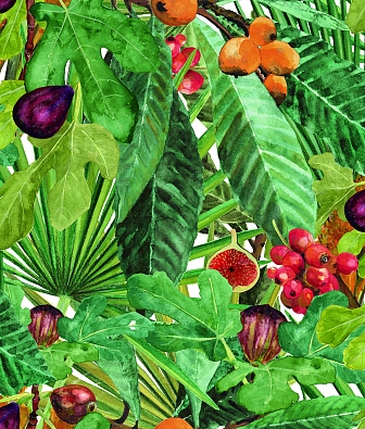 ���� Coordonne Metamorphosis 8800006