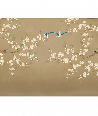 ���� Brewster New Creator 5 CBY131