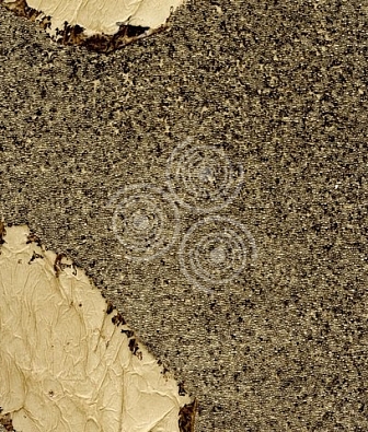 ���� Arlin Lava VB3