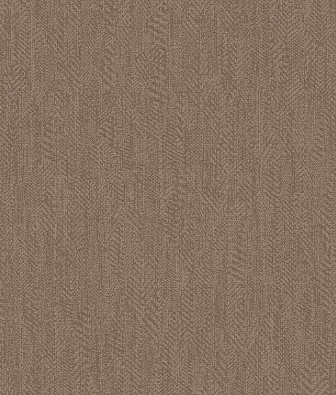 ���� Brewster Evolution 2 BWE02431