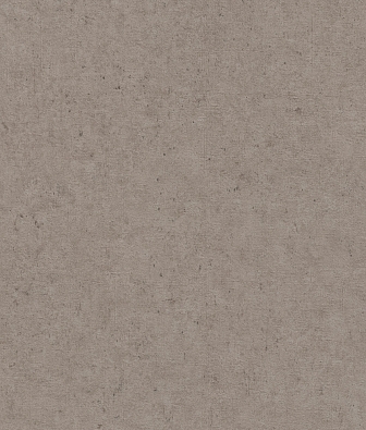 ���� Rasch Beltesto 520873