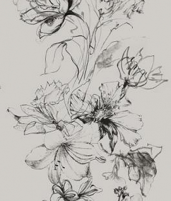 ���� Marburg Crush Motion 63491