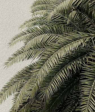 ���� Hygge Wall Collection 3 H11001