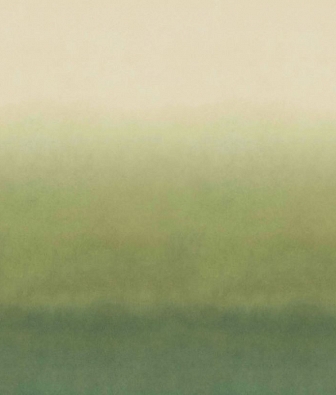 ���� Omexco Joy JOY81