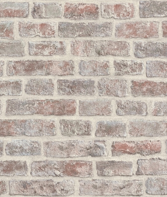 ���� Rasch Beltesto 795141