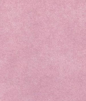 ���� Prestigious Textiles Pure 1922-562