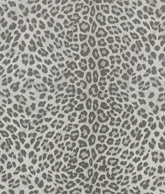 ���� Zambaiti Philipp Plein Z80045