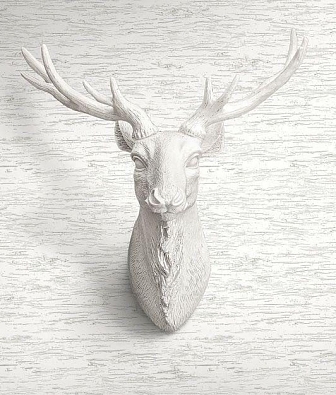 ���� KT-Exclusive Destination USA TH50408