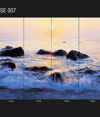  Loymina Illusion DSE 007