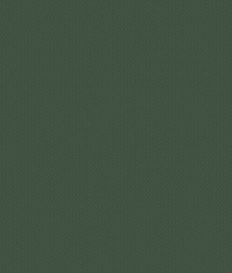 ���� Hygge Made in Russia MIR4 005