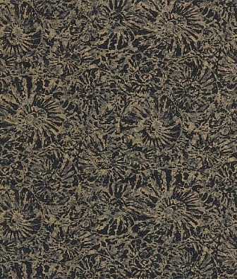  Anthology Anthology 07 112562