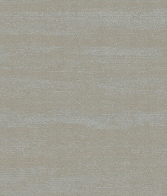 ���� Brewster Evolution 5 BWE05204