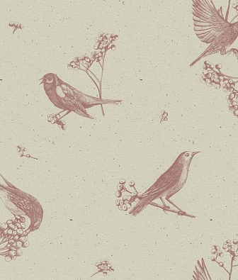 ���� Coordonne Naturae 9500070N